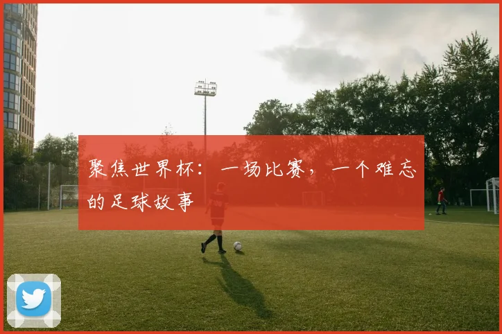 聚焦世界杯：一场比赛，一个难忘的足球故事